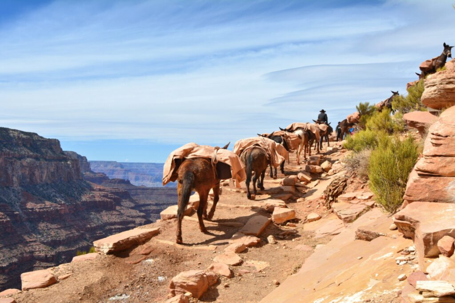 Grand Canyon Itinerary 2 Days