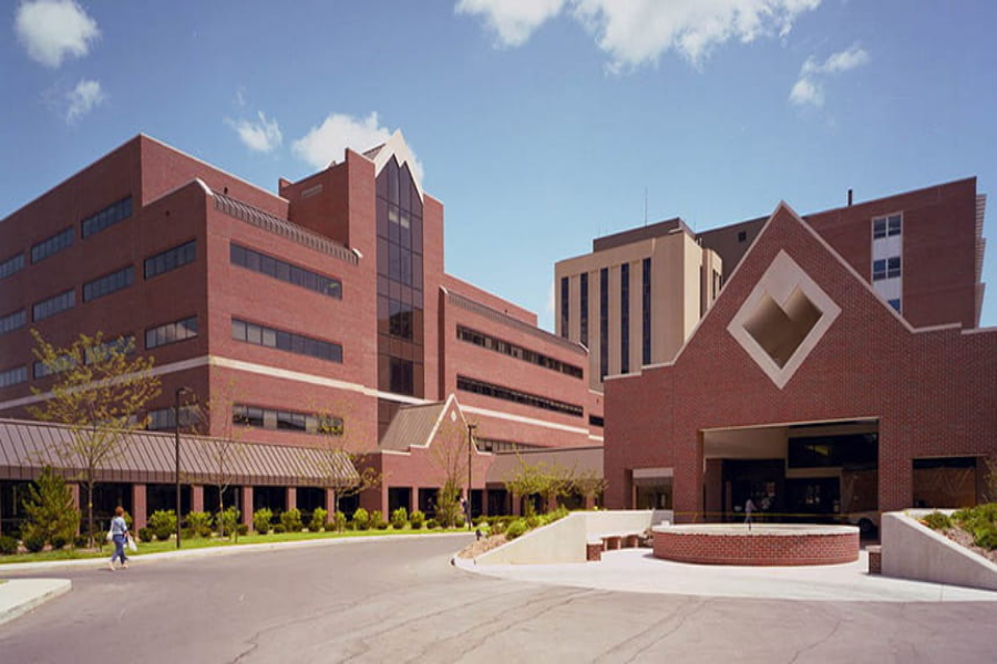 American Health Network